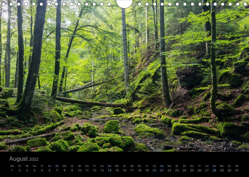 Schwarzwald 2022 (A4)