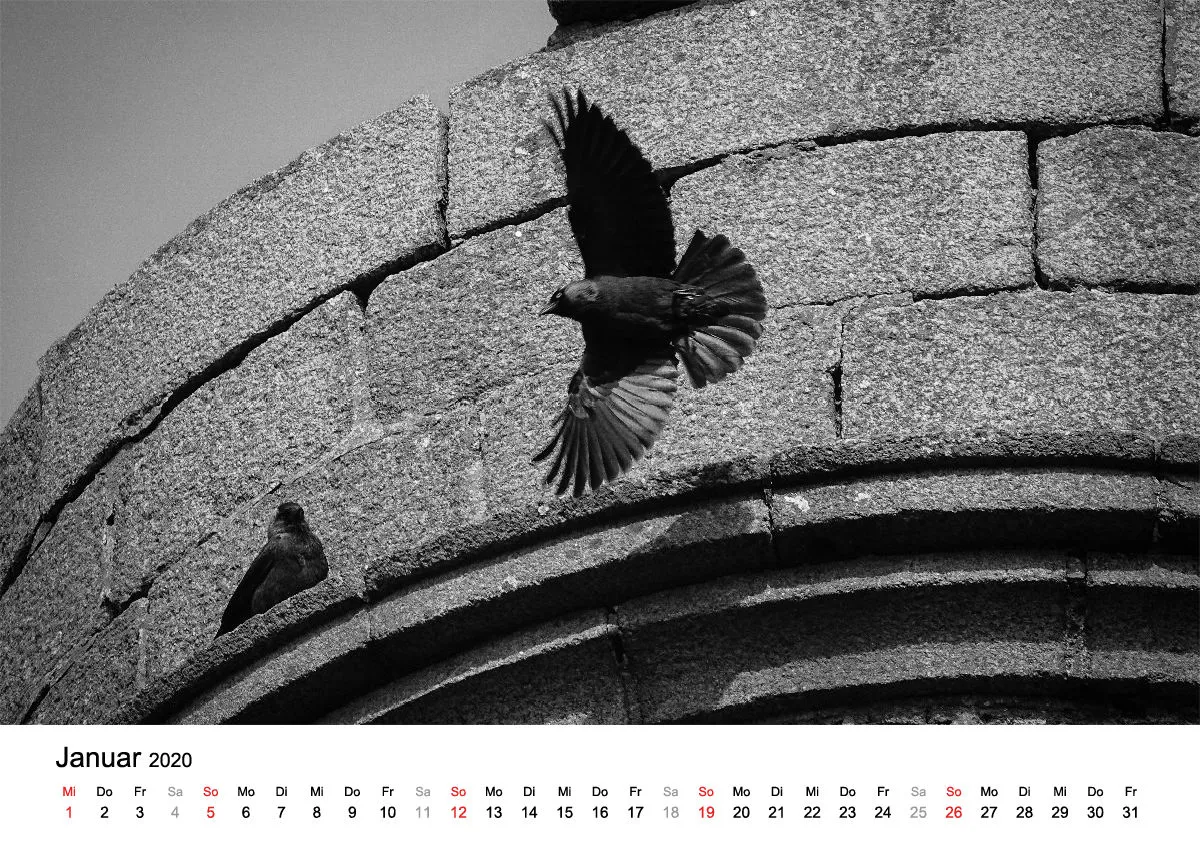 Fotokalender / Nr. 8