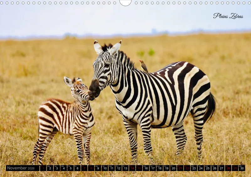 Kenya 2026_A3