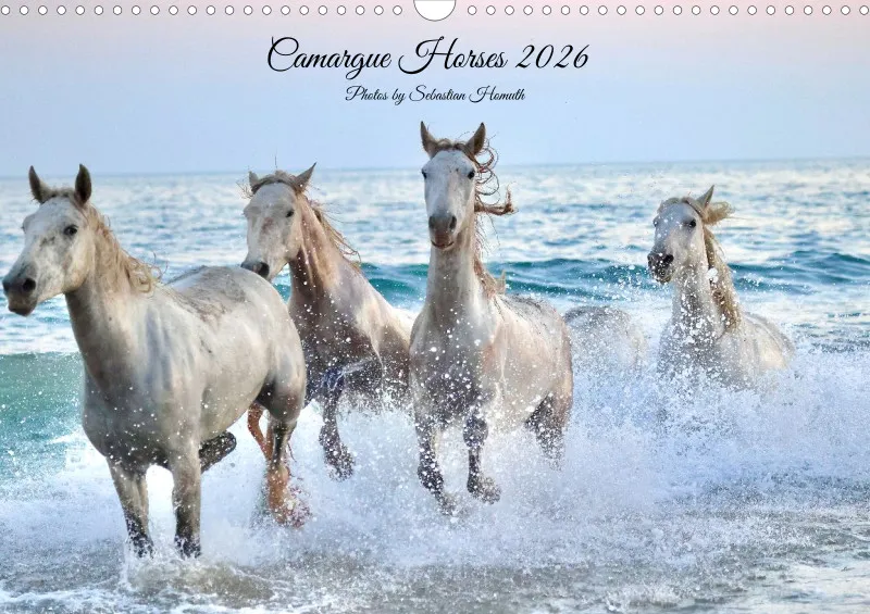 Camargue Horses 2026_A3