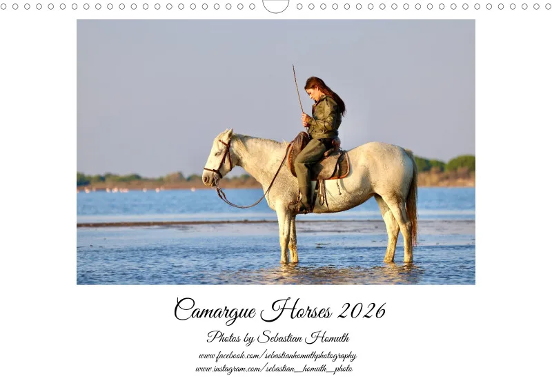 Camargue Horses 2026_A3
