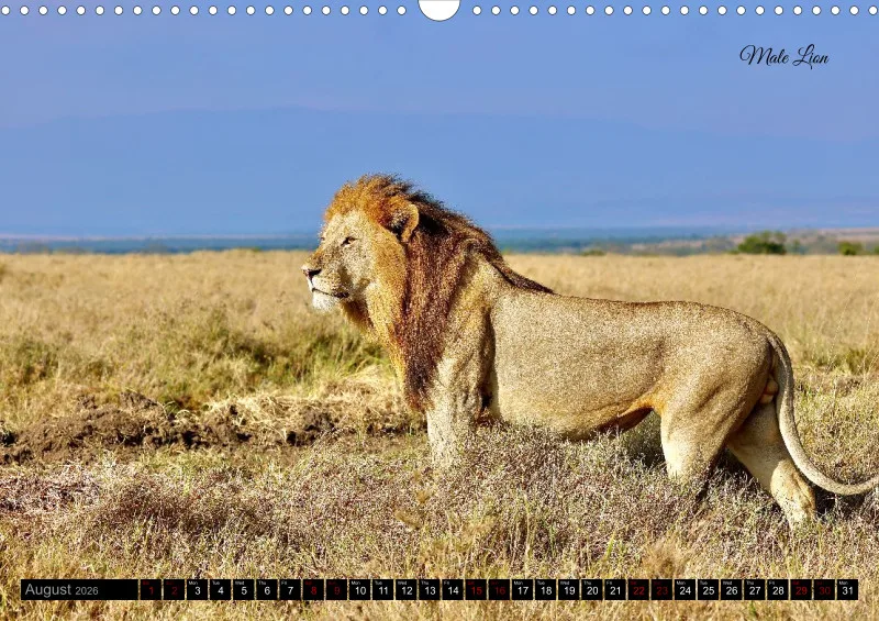 Kenya 2026_A3