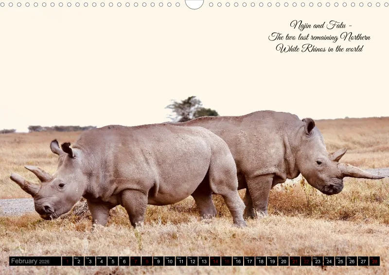Kenya 2026_A3