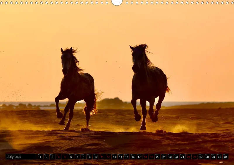 Camargue Horses 2026_A3