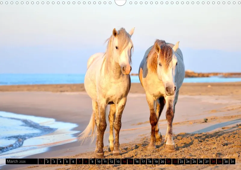 Camargue Horses 2026_A3