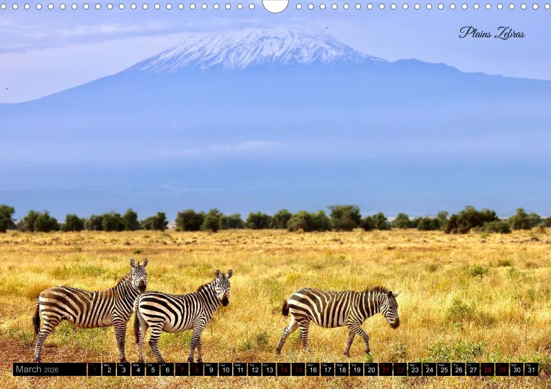 Kenya 2026_A3
