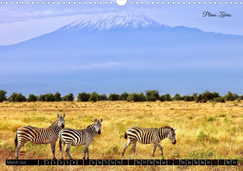 Kenya 2026_A3