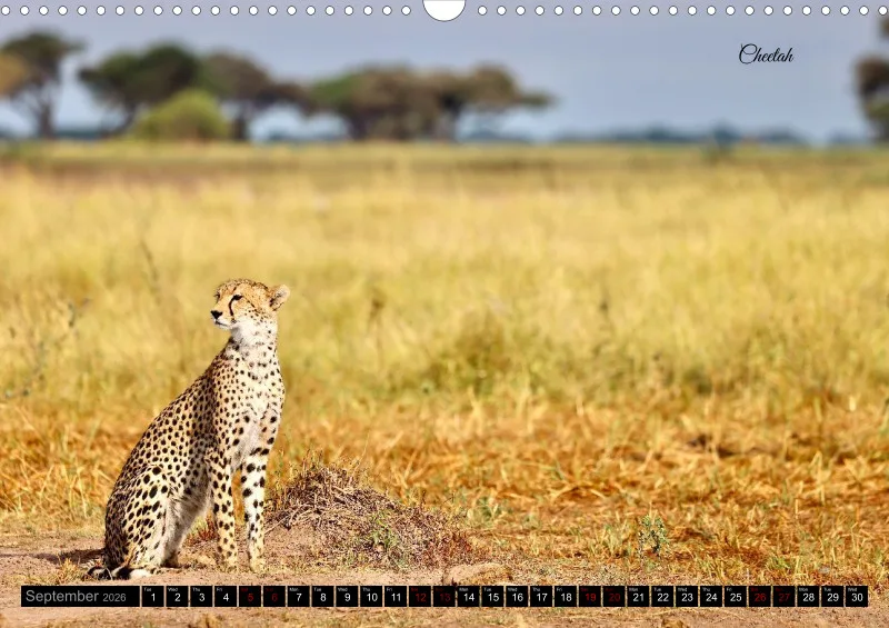 Kenya 2026_A3