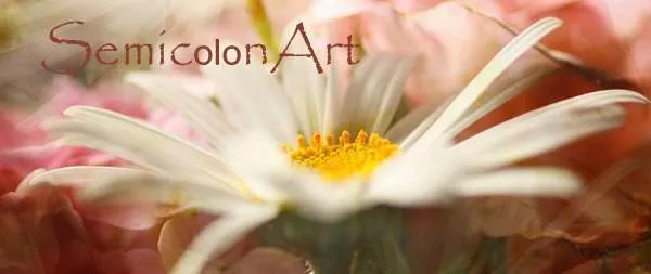 SemicolonArt