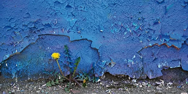 sgeiger-fotografik