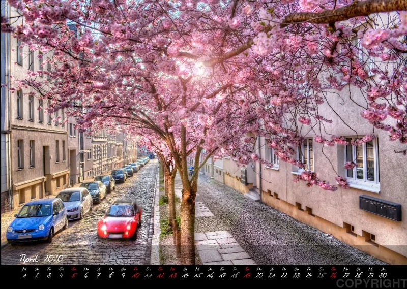 Mein schönes Halle/ Saale 2020