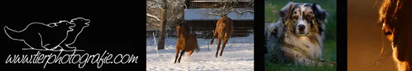 tierphotografie.com