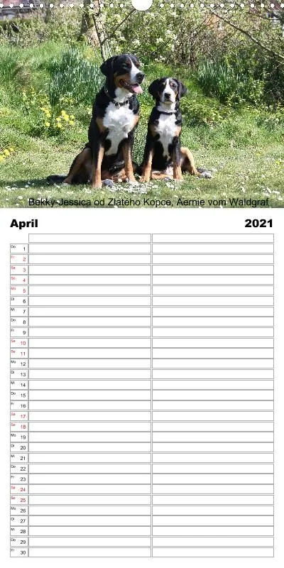 Familienplaner 2021