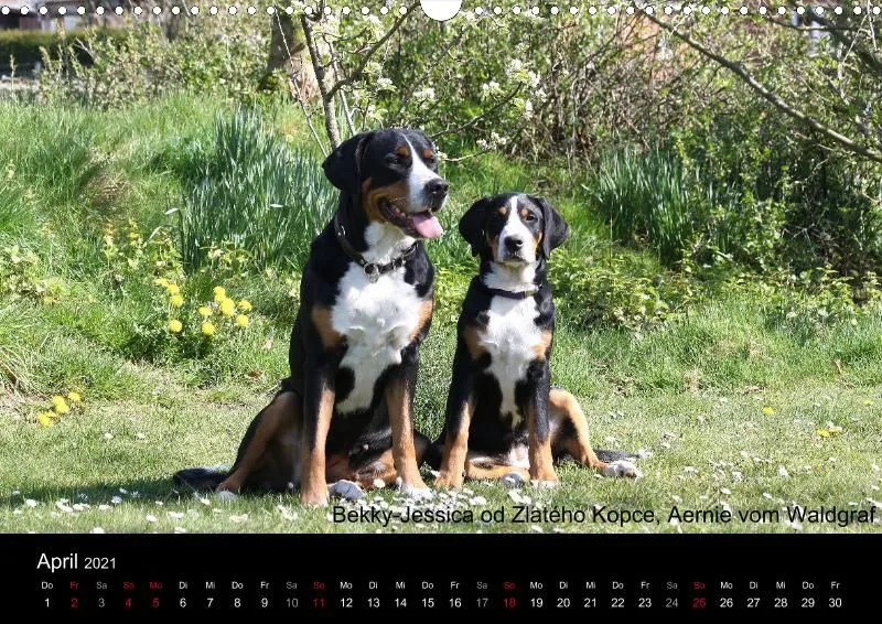 Forenkalender 2021