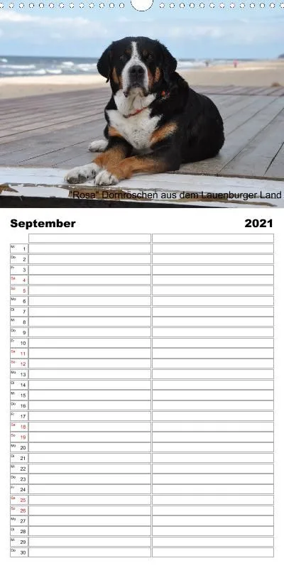 Familienplaner 2021
