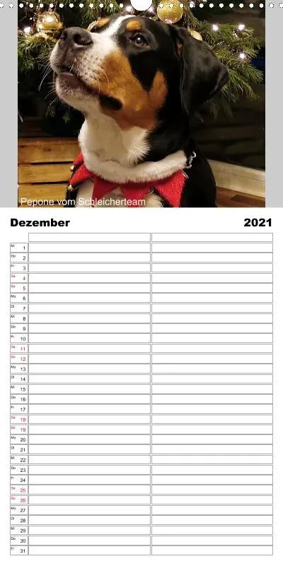 Familienplaner 2021