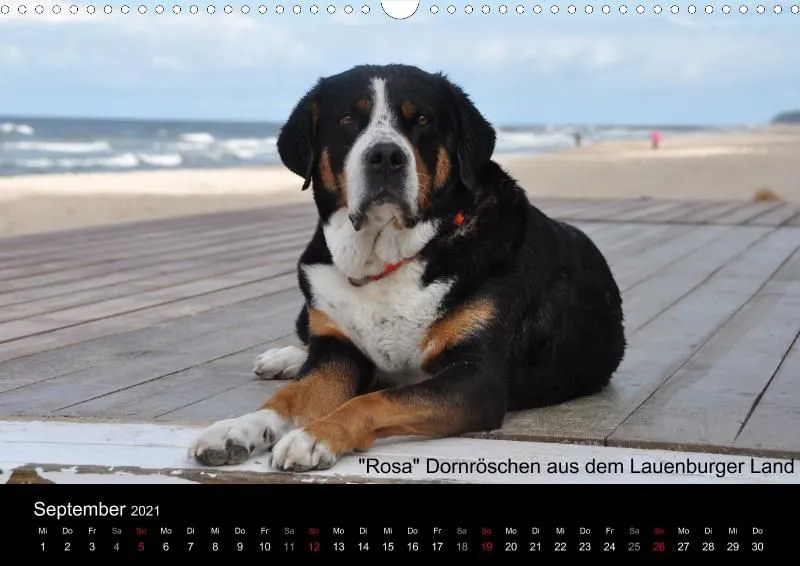 Forenkalender 2021