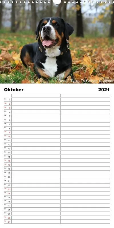 Familienplaner 2021