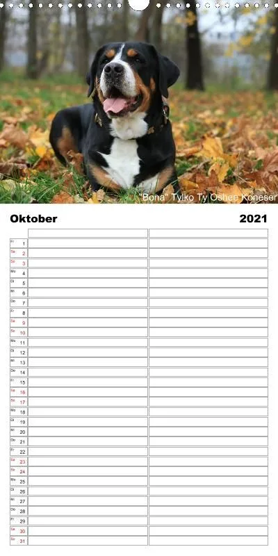 Familienplaner 2021