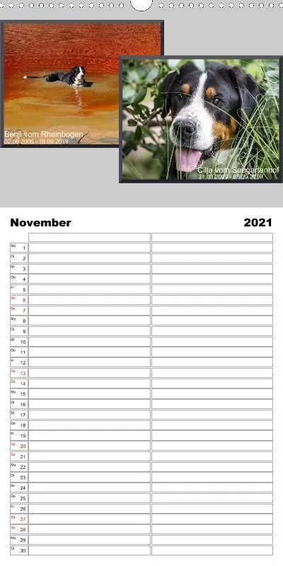 Familienplaner 2021
