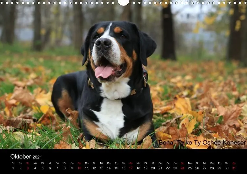 Forenkalender 2021
