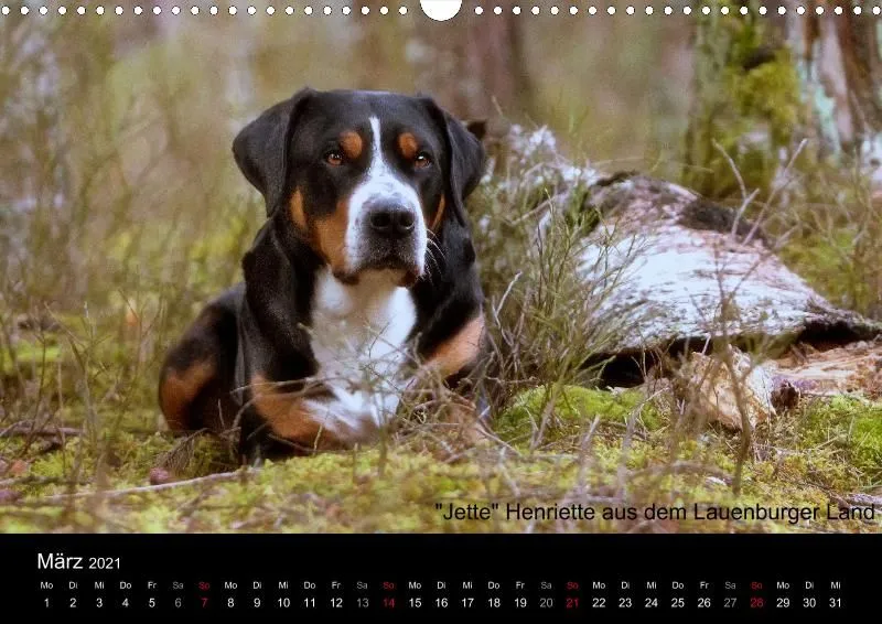 Forenkalender 2021