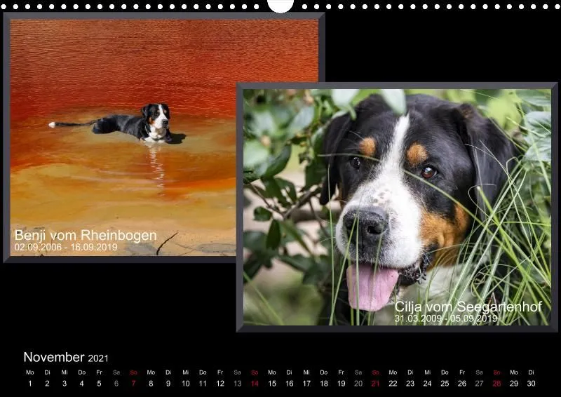 Forenkalender 2021