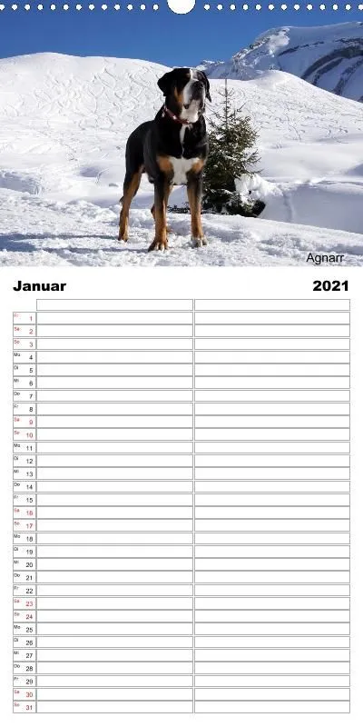 Familienplaner 2021
