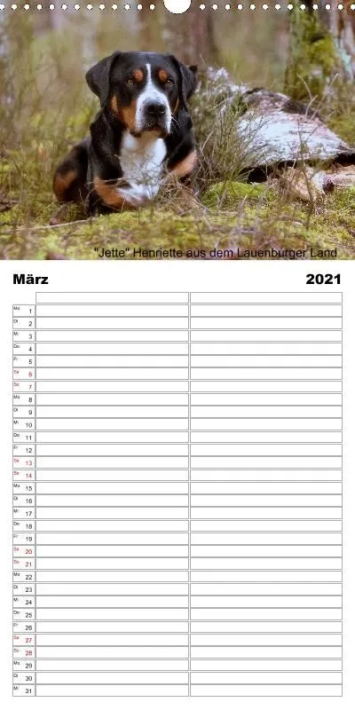 Familienplaner 2021