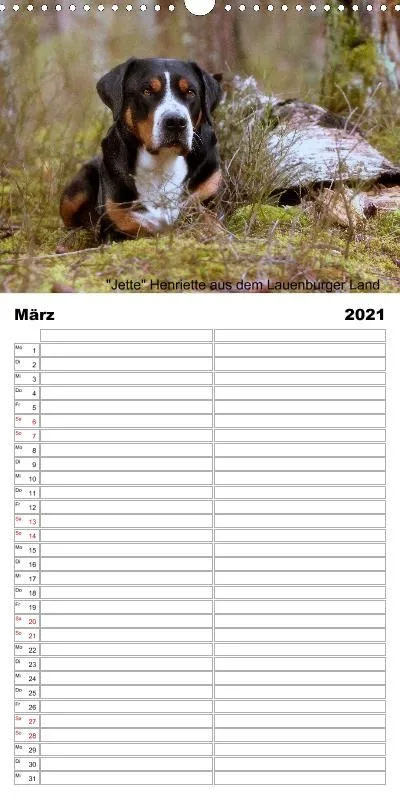 Familienplaner 2021