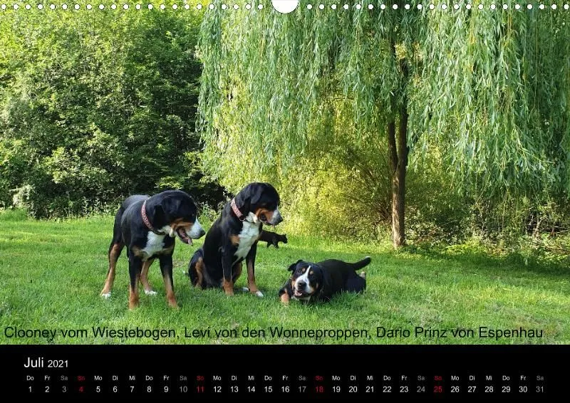 Forenkalender 2021