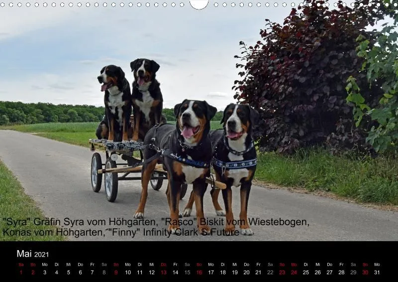 Forenkalender 2021