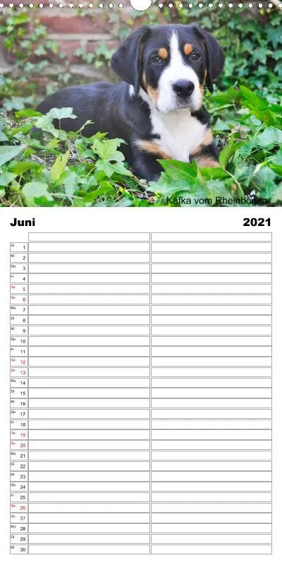 Familienplaner 2021