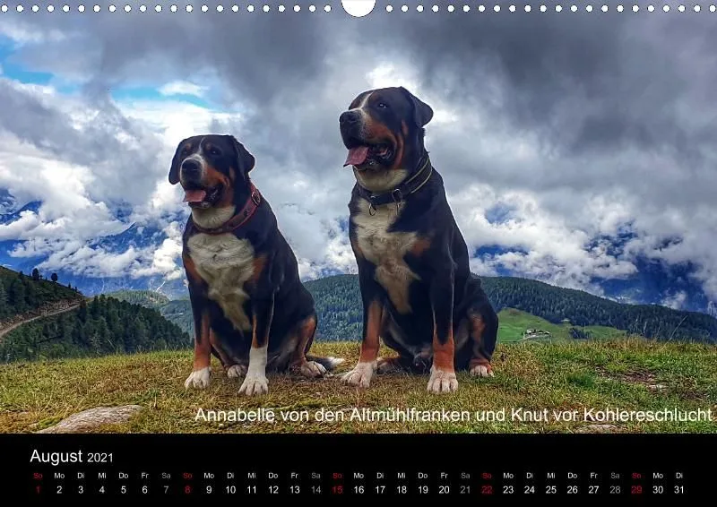 Forenkalender 2021