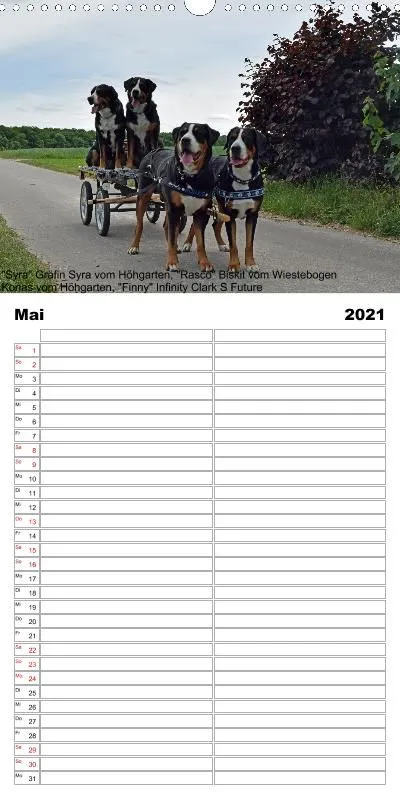 Familienplaner 2021