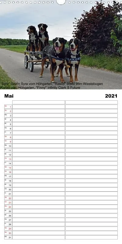 Familienplaner 2021