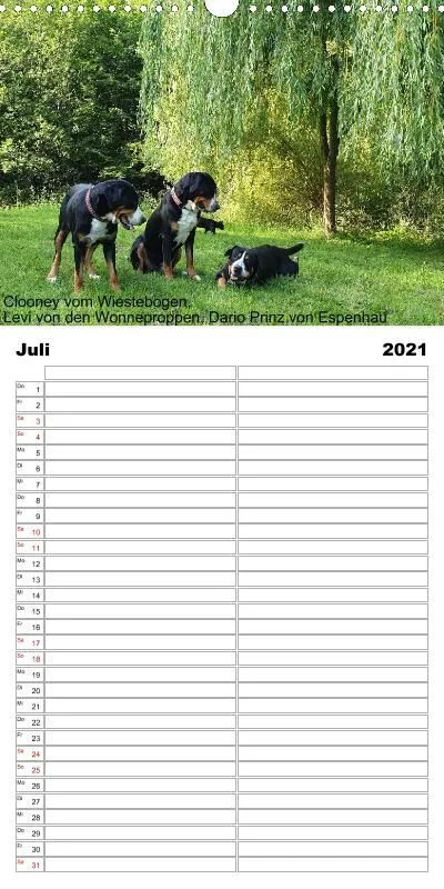 Familienplaner 2021