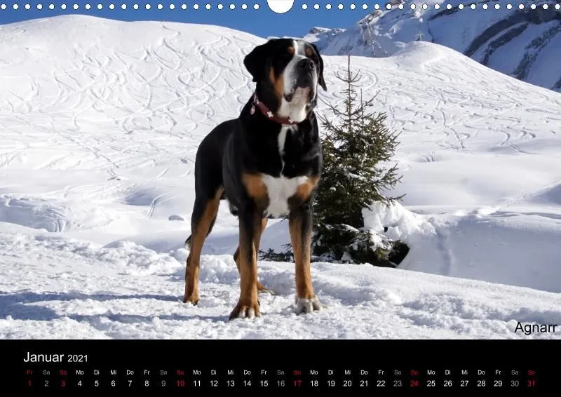 Forenkalender 2021