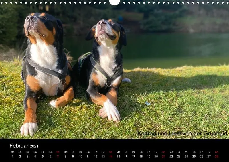 Forenkalender 2021