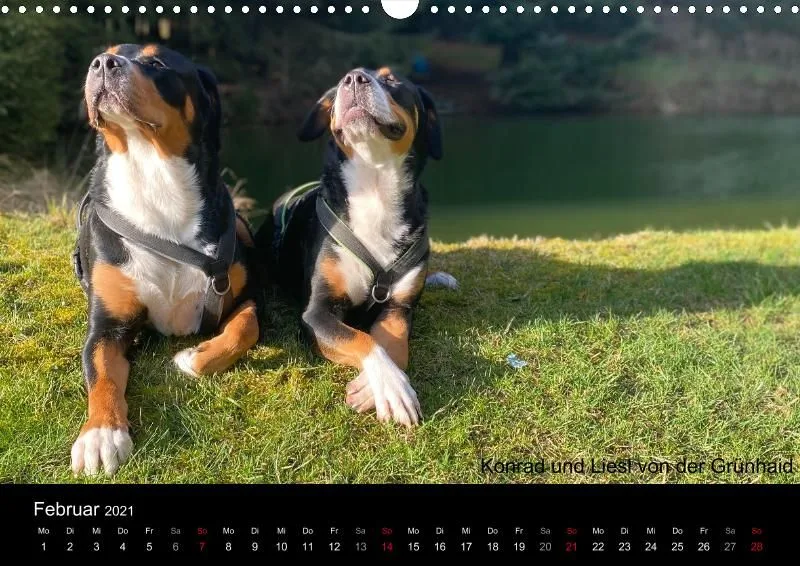 Forenkalender 2021