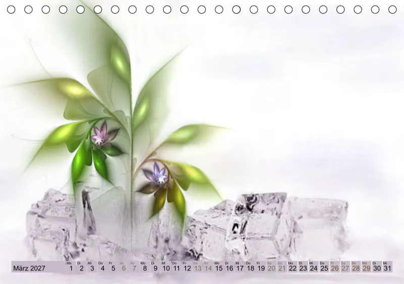 Flowers on the rocks