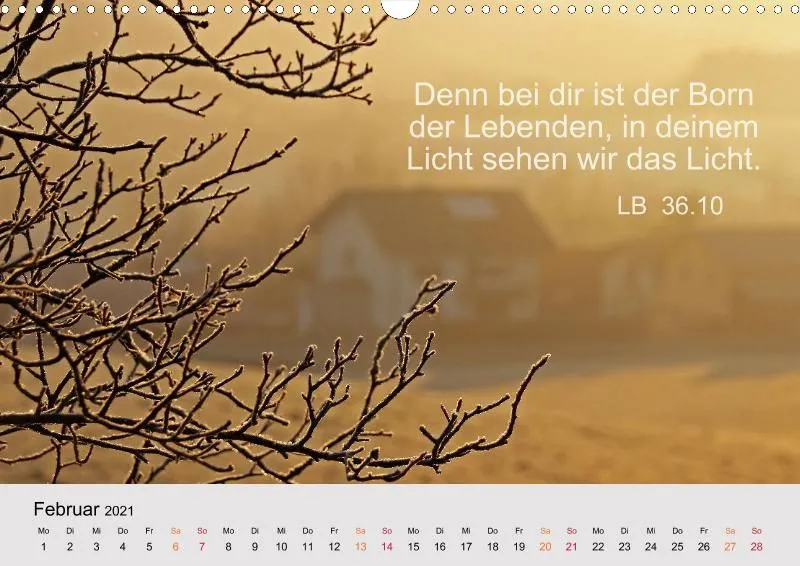 copy: Projekt Nr. 32