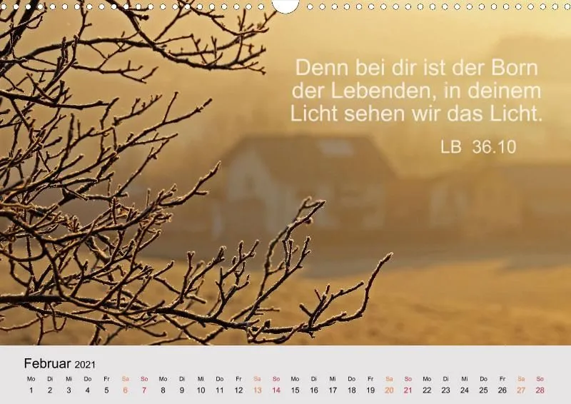 copy: Projekt Nr. 32