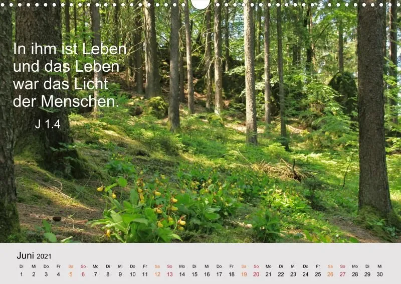 copy: Projekt Nr. 32
