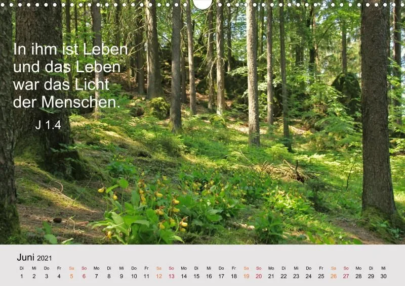 copy: Projekt Nr. 32