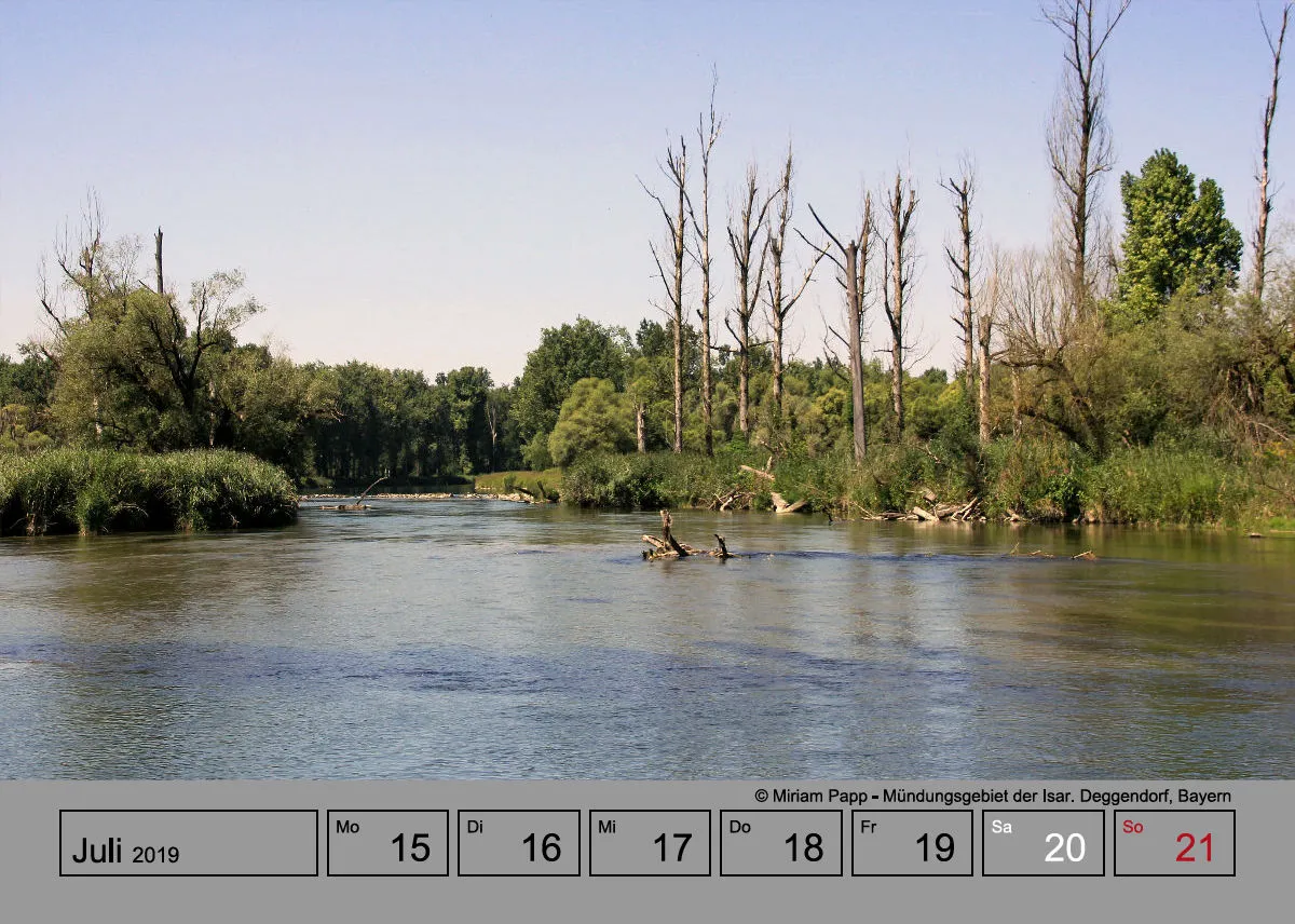 Tisch-Wochenkalender auf grauem Hintergrund A5