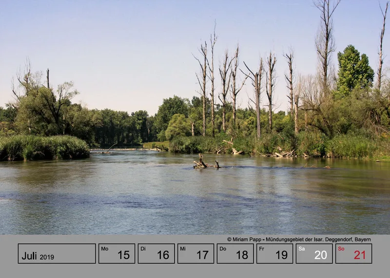 Tisch-Wochenkalender auf grauem Hintergrund A5