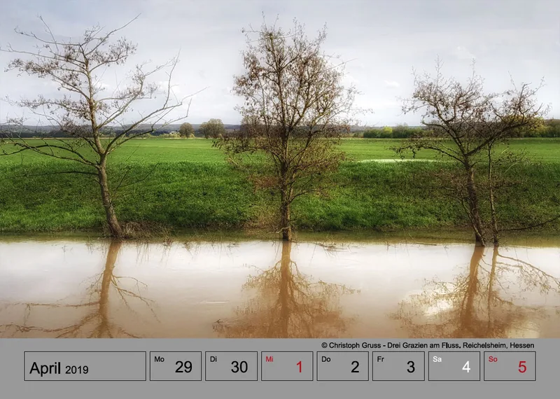 Wochenkalender auf grauem Hintergrund A4