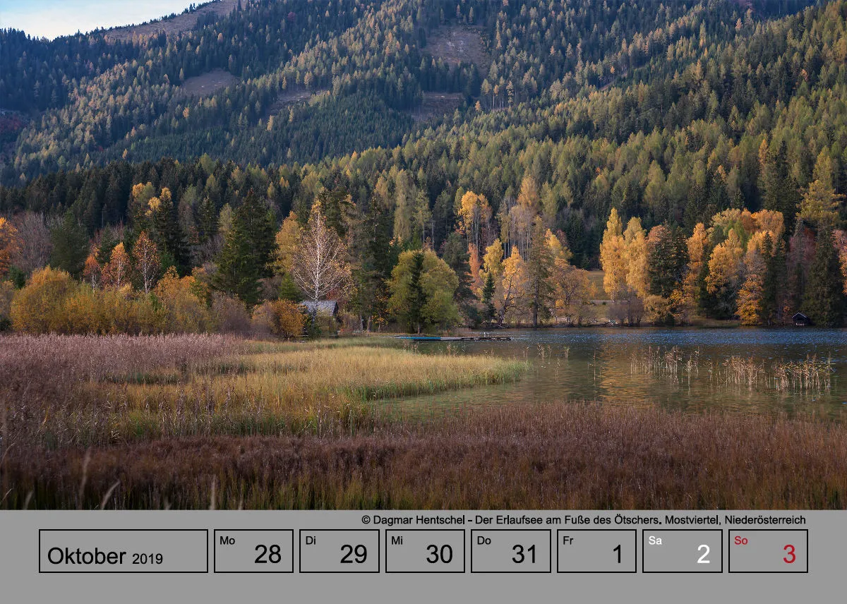 Wochenkalender auf grauem Hintergrund A5