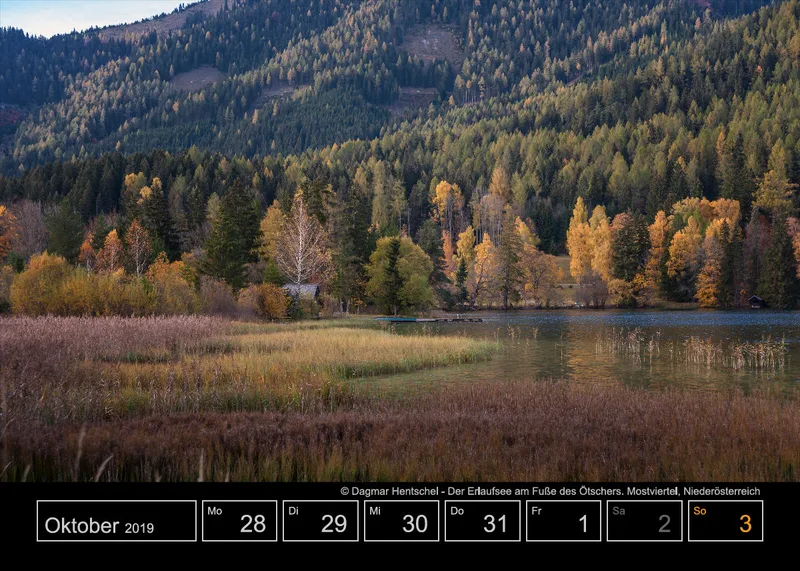 Wochenkalender auf schwarzem Hintergrund A5